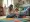 4 Steps to Navigate Autism Spectrum Diagnosis for Your Child