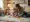 Understanding PDA and Autism: A Comprehensive Tutorial for Caregivers