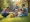 Understanding the Odds of Autism: Key Factors and Statistics