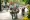 Understanding Weak Central Coherence in Autism: Strategies for Parent Advocates