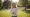 Understanding Self-Stimulatory Behaviors in Autism: An In-Depth Tutorial