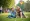 Service Dog Autism: Understanding Benefits, Training, and Acquisition