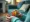 Understanding Stimming Autism Behaviors: A Comprehensive Tutorial for Caregivers