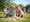 Is Autism the Same as Down Syndrome? Understanding Key Differences