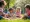Is Down Syndrome on the Spectrum? Understanding Its Place and Implications