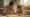 What is Respite Care for Child: A Comprehensive Overview