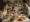 Best Practices for Addressing Autism and Feeding Challenges: Expert Tips for Parents